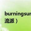 burningsun揭露韩流明星的聊天房秘密（韩流派）
