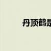 丹顶鹤是最长寿的鸟类（丹顶鹤）