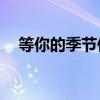 等你的季节伴奏mp3（等你的季节伴奏）