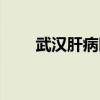 武汉肝病医院怎样（武汉肝病医院）