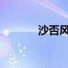 沙否风格音乐英文（shafou）