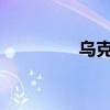 乌克兰基辅拉响防空警报