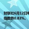 财联社6月12日电，香港恒生指数开盘跌0.79%。恒生科技指数跌0.83%。