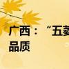 广西：“五菱神车”神在性价比、实用性、高品质