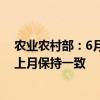 农业农村部：6月对2024/25年度中国大豆供需形势预测与上月保持一致