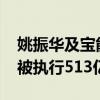 姚振华及宝能等被执行24.9亿 宝能集团累计被执行513亿