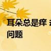 耳朵总是痒 却啥也掏不出来！可能暗示这5种问题