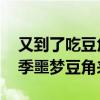 又到了吃豆角的季节 网友调侃：北方人的夏季噩梦豆角来了