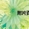 附片百科（附片别名叫什么）
