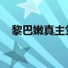 黎巴嫩真主党称袭击以色列北部多个目标