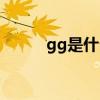 gg是什么牌子衣服（gg是什么）