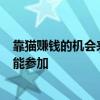 靠猫赚钱的机会来了！淘宝豪掷102万征集代言猫：丑猫也能参加