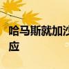 哈马斯就加沙停火新提议向相关斡旋方提交回应