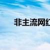 非主流网红都有谁（非主流网络红人）