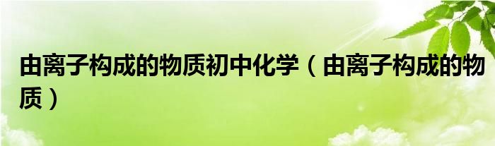 由离子构成的物质的化学式的含义（由离子构成的单质）