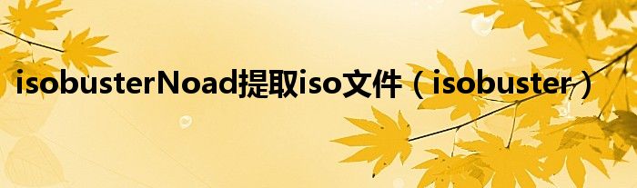 isobuster的使用方法（isobuster软件使用方法）
