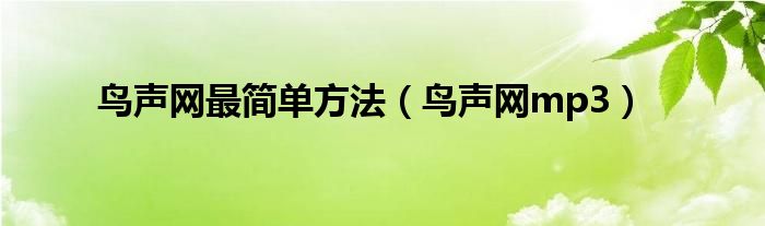 鸟语声mp3（鸟声网mp3免费下载）