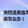 突然流鼻血怎么办有什么症状（突然流鼻血应该怎么办）