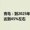 青岛：到2025年力争整车产量达到40万辆 新车市场渗透率达到45%左右