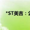 *ST美吉：公司股票将被终止上市暨停牌