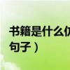 书籍是什么仿写句子三句话（书籍是什么仿写句子）