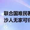 联合国难民署：全球1.2亿人流离失所 75%加沙人无家可归
