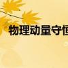 物理动量守恒定律知识点总结（物理动量）