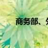 商务部、外交部回应欧盟对电车加税