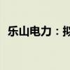 乐山电力：拟600万元对外投资成立子公司