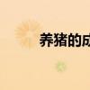 养猪的成本怎么算（养猪的成本）