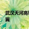 武汉天河高铁站亮相：犹如一只凤凰 六片羽翼