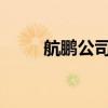 航鹏公司的发生器业务获得新突破
