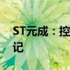 ST元成：控股股东股份被司法冻结及司法标记