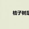 桔子树是凶树还是吉树（桔子树）