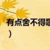 有点舍不得歌词表达的心情（有点舍不得歌词）