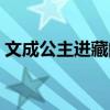 文成公主进藏的道理（文成公主进藏的资料）