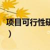 项目可行性研究的前提和基础是（项目可行性）