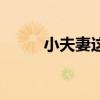 小夫妻这首歌（小夫妻时代歌曲）