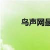 鸟声网最简单方法（鸟声网mp3）
