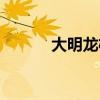 大明龙权表情（大明龙权图标）