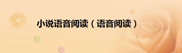 小说语音阅读器电脑版下载（小说语音阅读app）