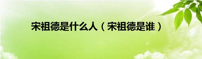 宋祖德是什么人（宋祖德是什么人啊）
