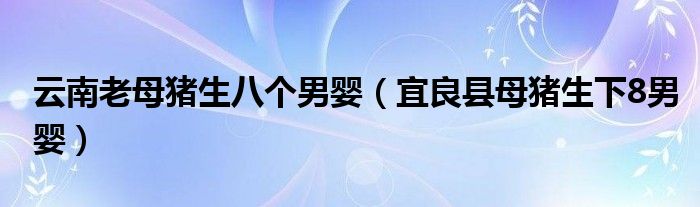 云南老母猪生八个男婴（宜良县母猪生下8男婴）