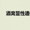 酒窝显性遗传规律（酒窝是显性遗传吗）