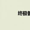 终极鲁莽套（终极鲁莽手镯）
