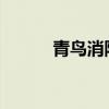青鸟消防：拟变更回购股份用途