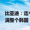 比亚迪：迄今减碳相当于种植10亿棵树 能塞满整个韩国