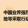 中国业界强烈不满！中方可对欧盟汽车、白兰地等采取行动