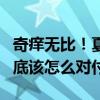 奇痒无比！夏天手上超爱长的“小水泡”：到底该怎么对付