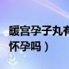 暖宫孕子丸有助怀孕吗生男（暖宫孕子丸有助怀孕吗）